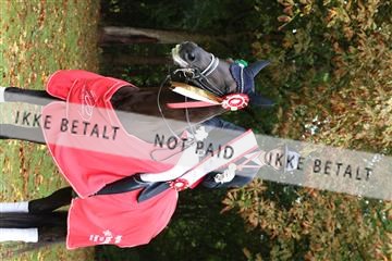 181923_mtp_03_R62_8228.JPG