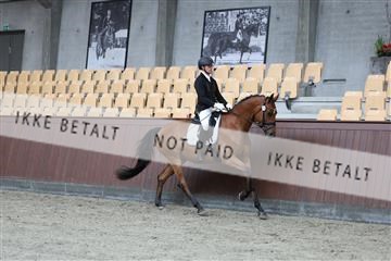 181852_mtp_01_R62_1498.JPG
