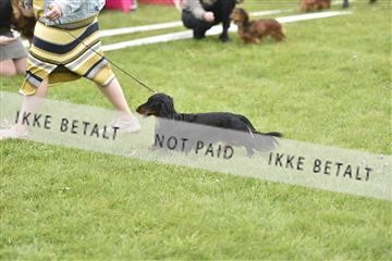 162688_bkn_01__BKN0007.JPG