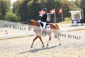 181894_mtp_02_R62_2255.JPG