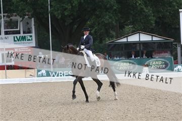 125527_TBJ_08_IMG_3854.JPG