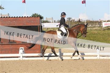 148862_sg_01_IMG_2628.JPG