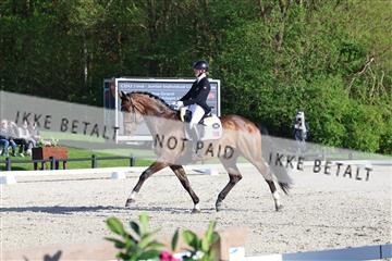 179330_avh_01_8667.JPG