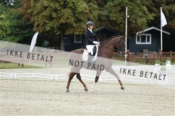 181923_mtp_02_R62_7033.JPG