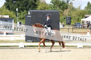 181894_mtp_05_R62_4522.JPG
