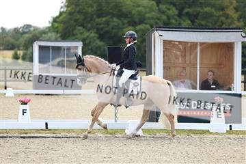181894_mtp_02_R62_1665.JPG