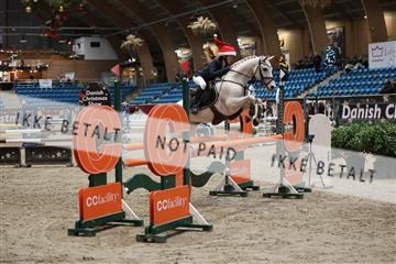 175934_avh_02_7654.JPG