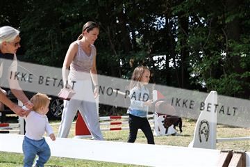 181805_mlm_02_R62_6736.JPG