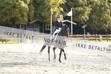 181923_mtp_04_R62_9249.JPG