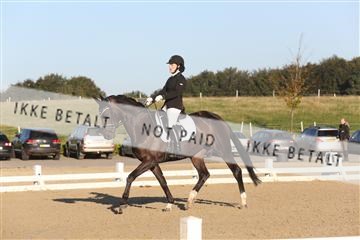 148862_sg_01_IMG_2398.JPG