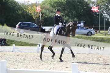148862_sg_02_IMG_3980.JPG
