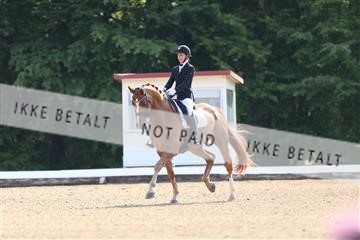 174618_mtp_01_3M5A0741.JPG