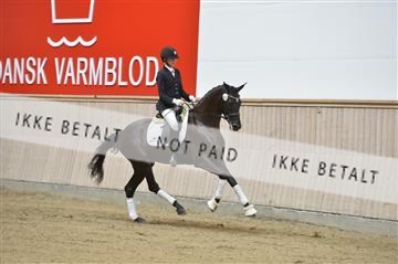 160111_nn_01__ESK1818.JPG