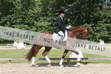 135518_ms_02_IMG_2733.JPG