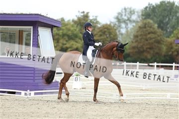 181923_mtp_04_R62_8353.JPG