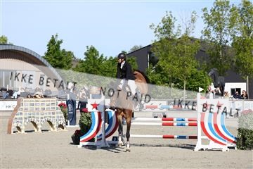 181436_avh_01_3325.JPG