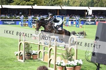 175339_akl_01_Z6D_0336.JPG