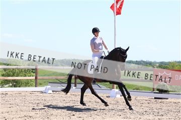 181449_bc_01R62_5756.JPG