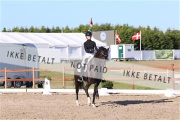 181449_bc_01R62_6344.JPG