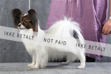 129608_le_ 01_0439.JPG