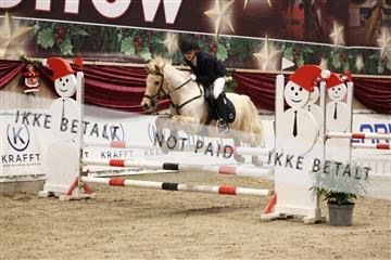 175934_avh_02_6951.JPG