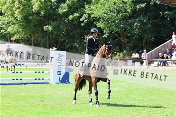 181805_mlm_02_R62_6846.JPG