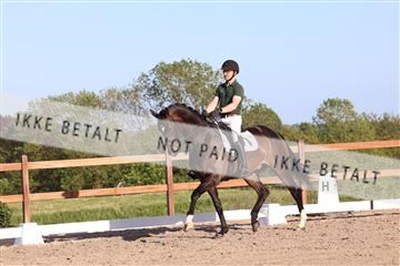 181449_bc_01R62_6445.JPG