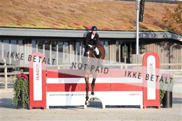 181922_avh_05_2483.JPG