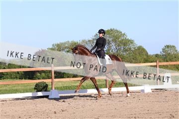 181449_bc_01R62_6399.JPG