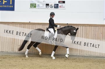 160111_nn_01__ESK2019.JPG
