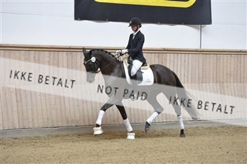 160111_nn_01__ESK1800.JPG