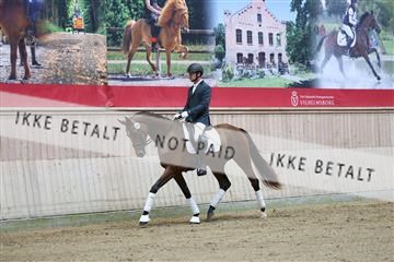 181887_mtp_04_R62_8387.JPG