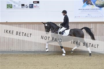 160111_nn_01__ESK1868.JPG
