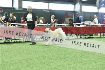 163793_bkn_01__BKN9235.JPG