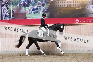175166_kbb_01_R6II0253.JPG