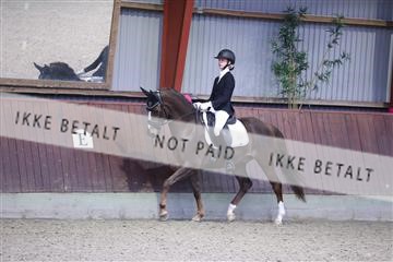 173883_mtp_01_3M5A9840.JPG