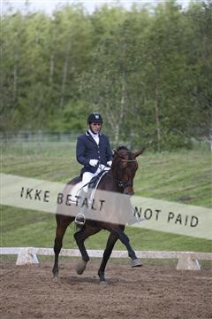 147698_nn_01_IMG_0018.JPG