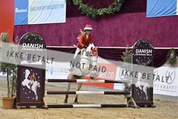 161006_abo_01__D051058.JPG