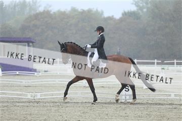 181923_mtp_03_R62_7709.JPG