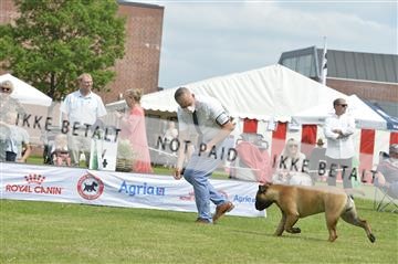 168981_bkn_01__MHR0321.JPG