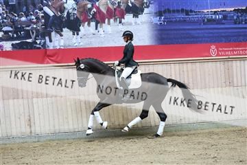 181887_mtp_04_R62_8577.JPG
