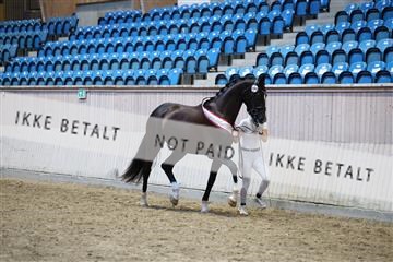 181887_mtp_06_R62_9951.JPG