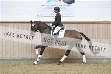 160111_nn_01__ESK1573.JPG