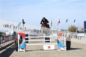 181436_avh_01_3378.JPG