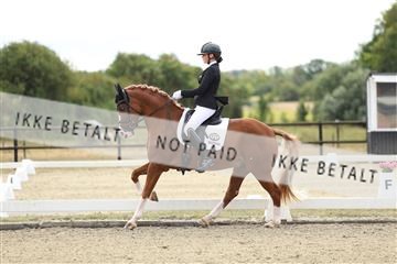 181894_mtp_02_R62_1142.JPG