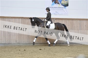 160111_nn_01__ESK1654.JPG