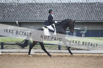 147698_nn_01_IMG_0174.JPG