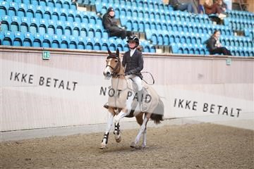 174047_kbb_01_R6II6918.JPG