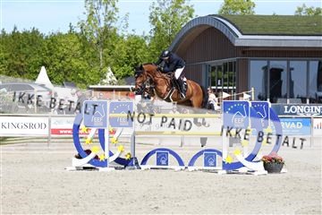 181436_avh_02_3839.JPG