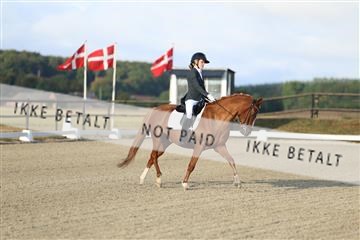 181894_mtp_04_R62_3017.JPG